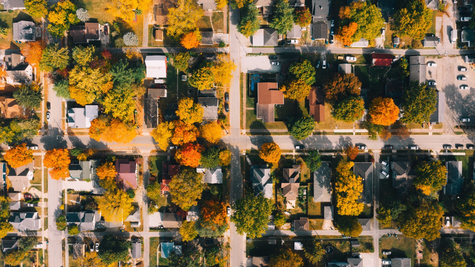 Aerial view of a tree-lined neighborhood in autumn color